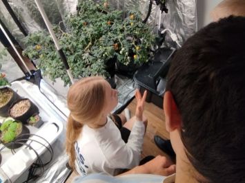 мастер-класс для детей по сити-фермерству