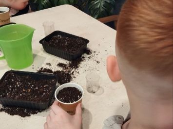 пересадка растений